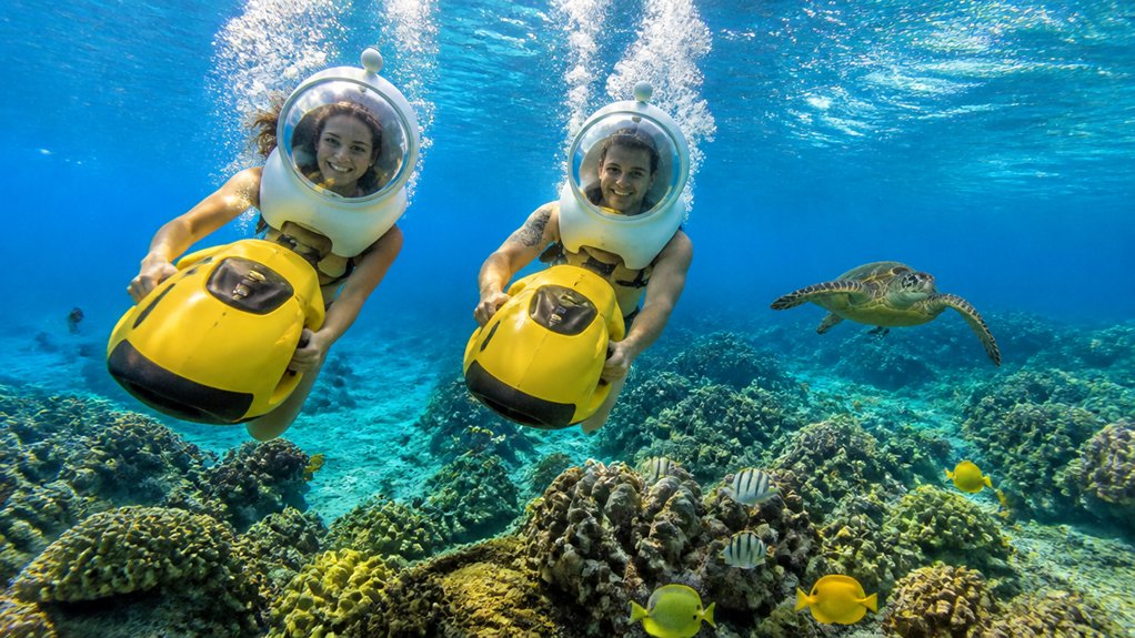 easy underwater turtle viewing adventure
