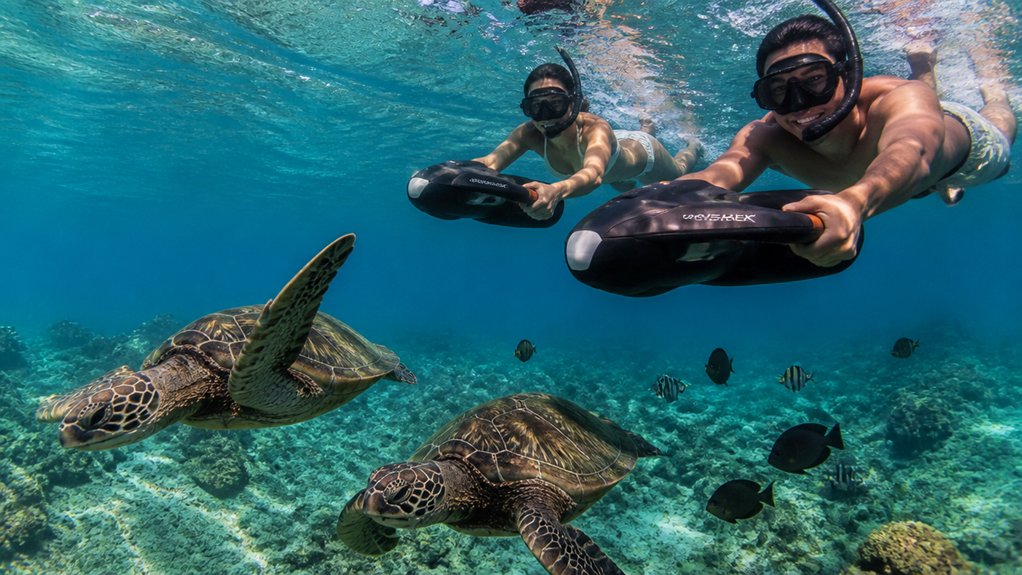glide with sea turtles