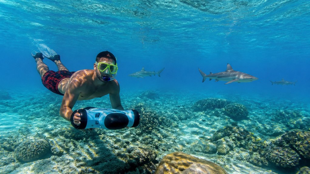 rare reef shark encounters expected