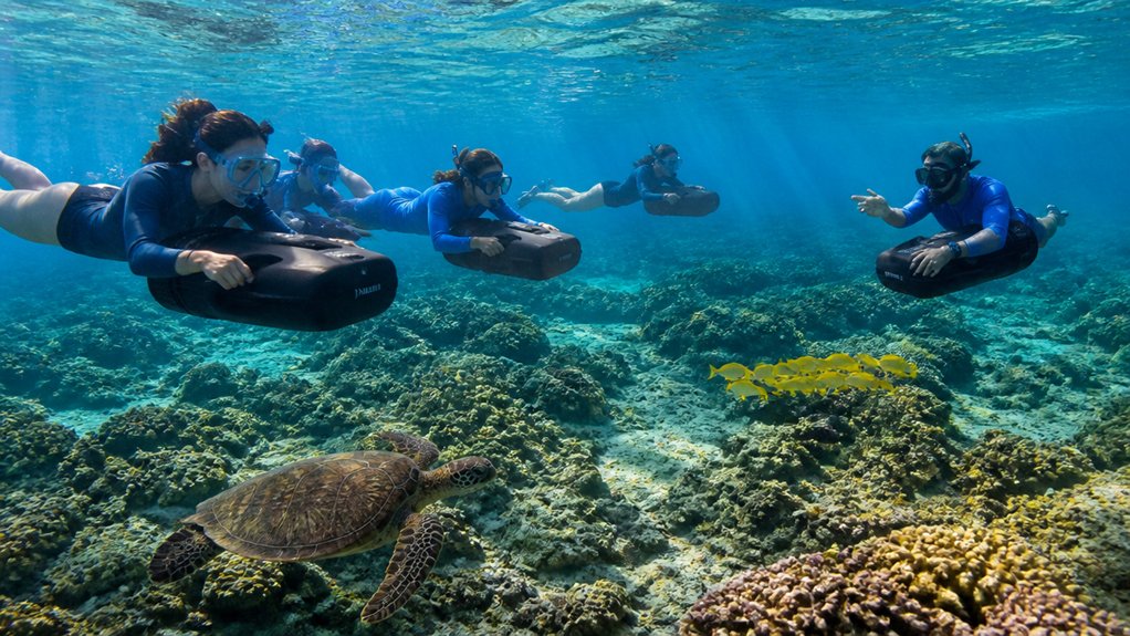 respect reefs keep distance