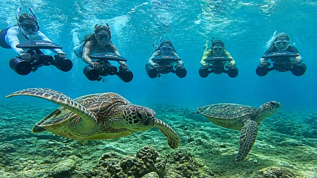 turtle focused small group snorkeling